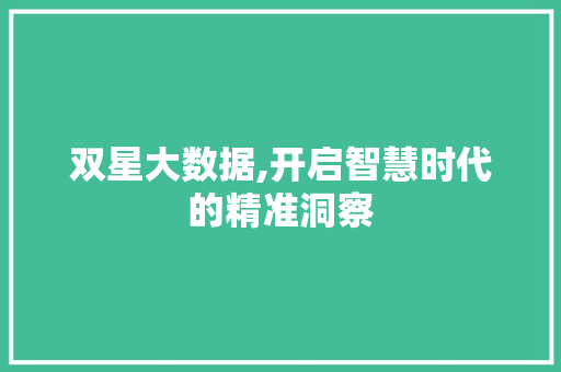 双星大数据,开启智慧时代的精准洞察