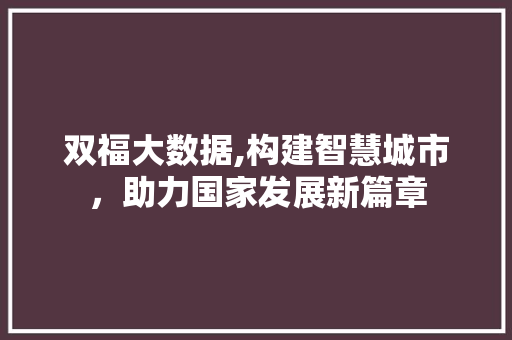 双福大数据,构建智慧城市，助力国家发展新篇章