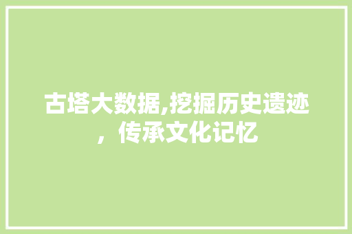 古塔大数据,挖掘历史遗迹，传承文化记忆