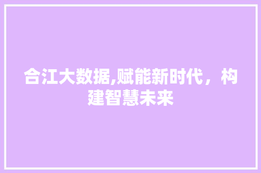 合江大数据,赋能新时代，构建智慧未来