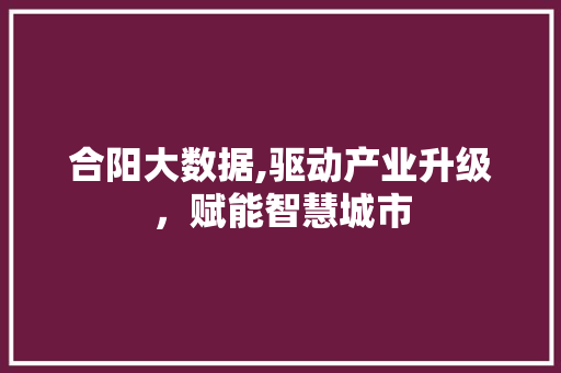 合阳大数据,驱动产业升级，赋能智慧城市