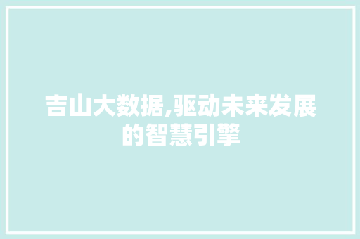 吉山大数据,驱动未来发展的智慧引擎