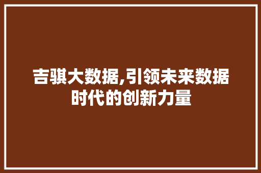 吉骐大数据,引领未来数据时代的创新力量