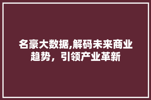 名豪大数据,解码未来商业趋势，引领产业革新