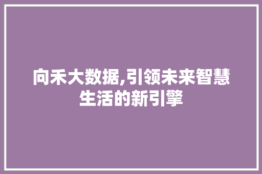 向禾大数据,引领未来智慧生活的新引擎