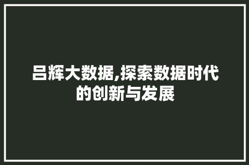 吕辉大数据,探索数据时代的创新与发展