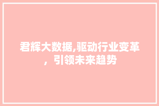 君辉大数据,驱动行业变革，引领未来趋势