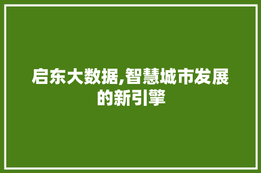 启东大数据,智慧城市发展的新引擎