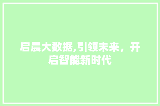 启晨大数据,引领未来，开启智能新时代