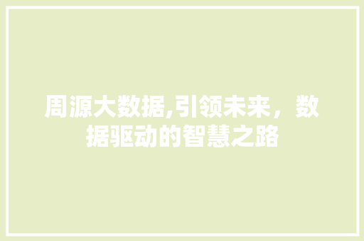 周源大数据,引领未来，数据驱动的智慧之路
