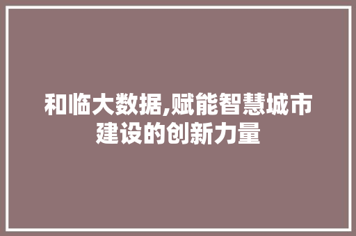 和临大数据,赋能智慧城市建设的创新力量