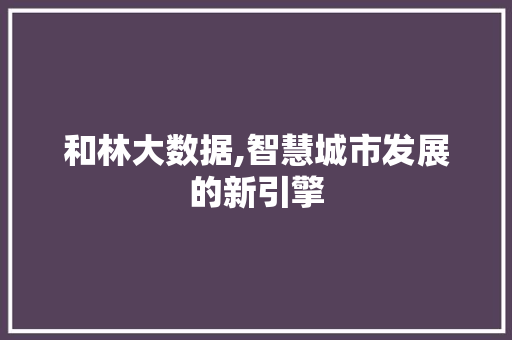 和林大数据,智慧城市发展的新引擎
