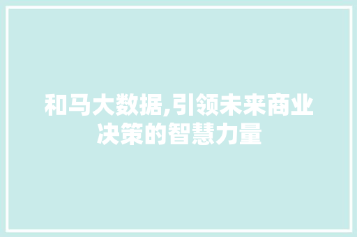 和马大数据,引领未来商业决策的智慧力量