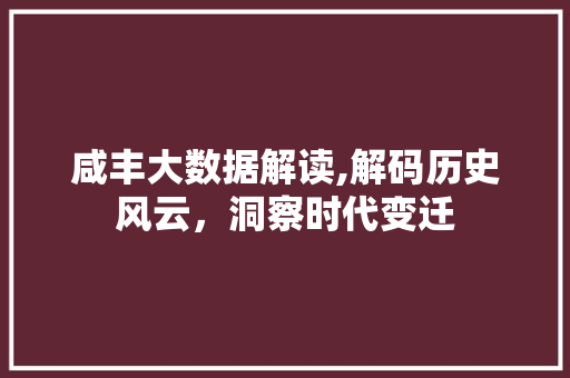 咸丰大数据解读,解码历史风云，洞察时代变迁