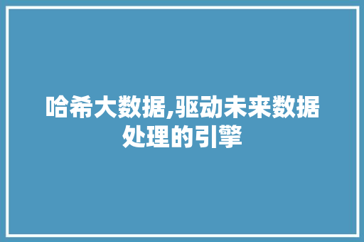 哈希大数据,驱动未来数据处理的引擎