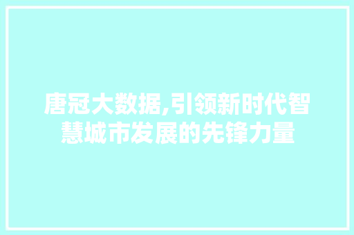 唐冠大数据,引领新时代智慧城市发展的先锋力量