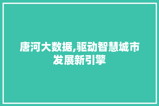 唐河大数据,驱动智慧城市发展新引擎