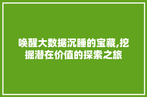 唤醒大数据沉睡的宝藏,挖掘潜在价值的探索之旅