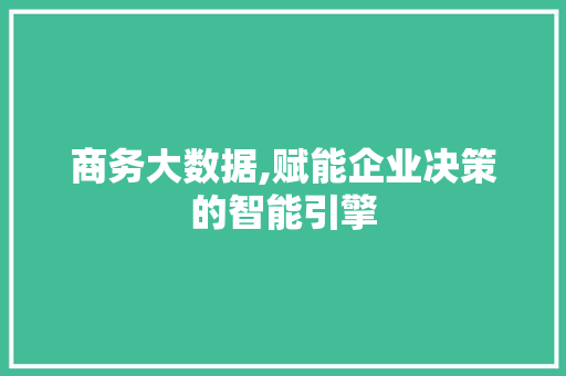 商务大数据,赋能企业决策的智能引擎