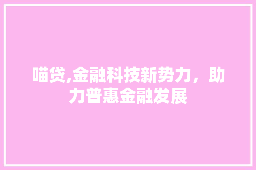 喵贷,金融科技新势力，助力普惠金融发展