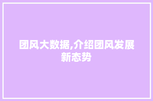 团风大数据,介绍团风发展新态势