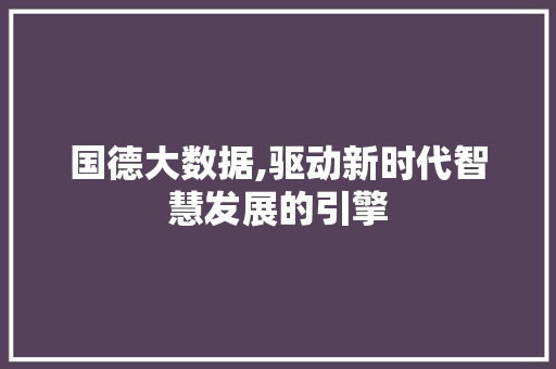 国德大数据,驱动新时代智慧发展的引擎