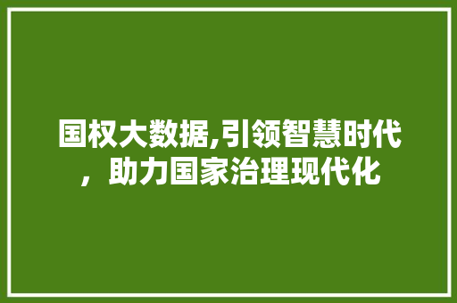 国权大数据,引领智慧时代，助力国家治理现代化