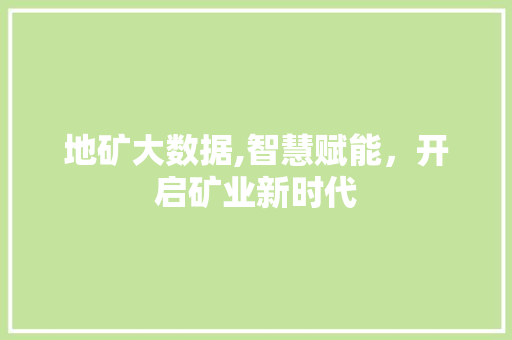 地矿大数据,智慧赋能，开启矿业新时代