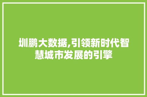 圳鹏大数据,引领新时代智慧城市发展的引擎