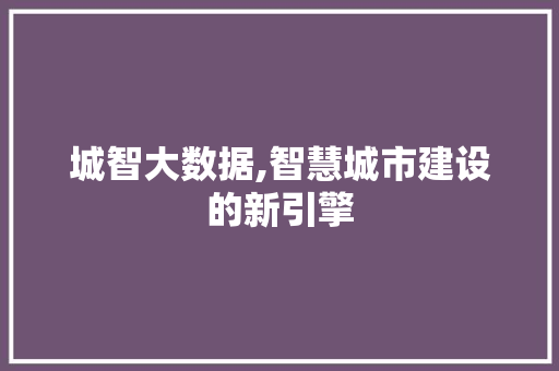 城智大数据,智慧城市建设的新引擎