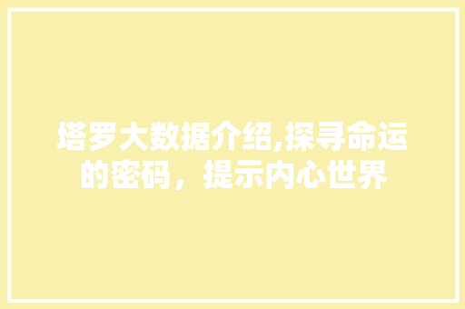 塔罗大数据介绍,探寻命运的密码，提示内心世界