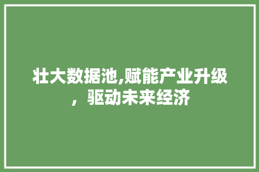壮大数据池,赋能产业升级，驱动未来经济