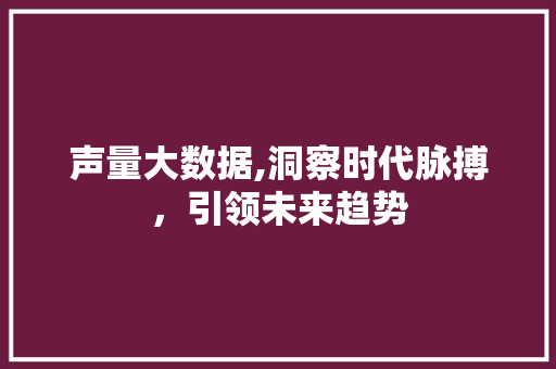 声量大数据,洞察时代脉搏，引领未来趋势