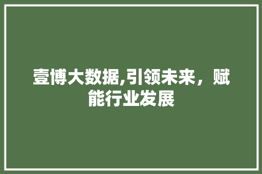 壹博大数据,引领未来，赋能行业发展