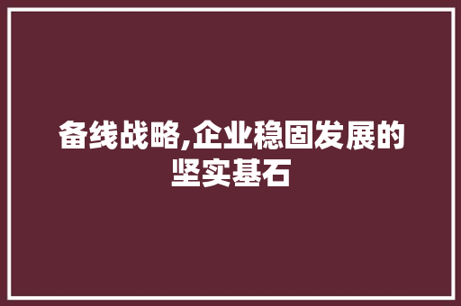 备线战略,企业稳固发展的坚实基石