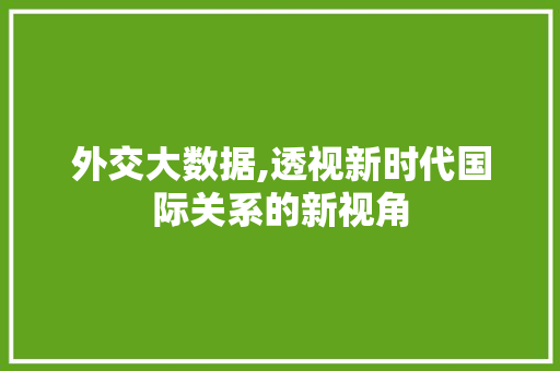 外交大数据,透视新时代国际关系的新视角
