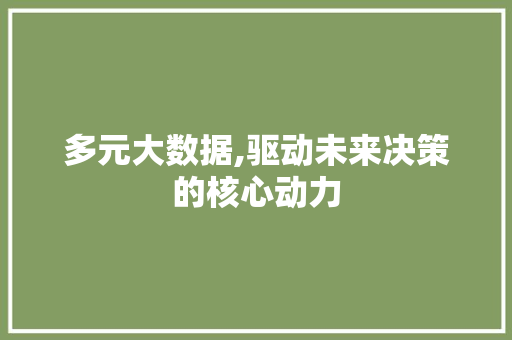 多元大数据,驱动未来决策的核心动力