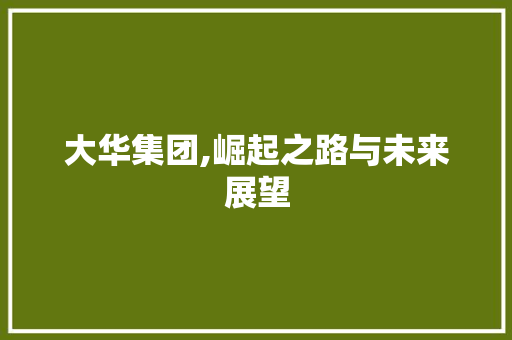 大华集团,崛起之路与未来展望