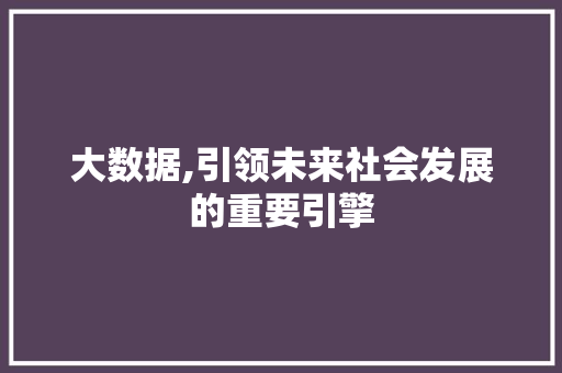 大数据,引领未来社会发展的重要引擎