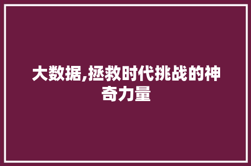 大数据,拯救时代挑战的神奇力量