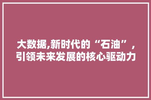 大数据,新时代的“石油”，引领未来发展的核心驱动力