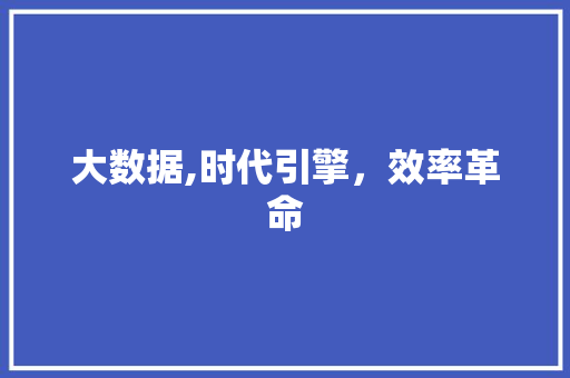 大数据,时代引擎，效率革命