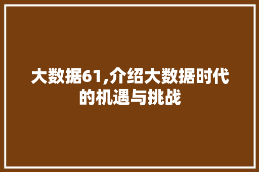 大数据61,介绍大数据时代的机遇与挑战