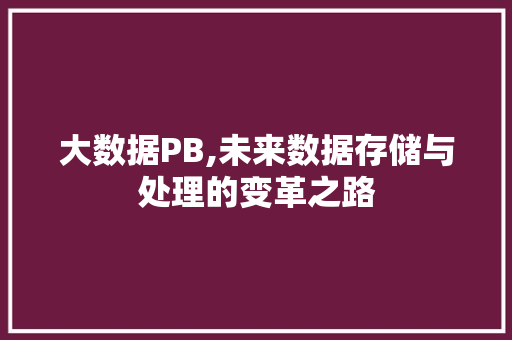 大数据PB,未来数据存储与处理的变革之路