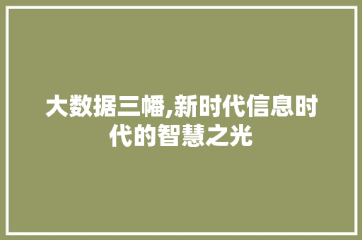大数据三幡,新时代信息时代的智慧之光