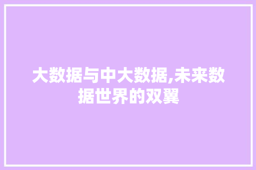 大数据与中大数据,未来数据世界的双翼