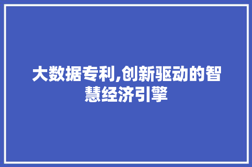 大数据专利,创新驱动的智慧经济引擎