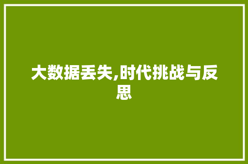 大数据丢失,时代挑战与反思