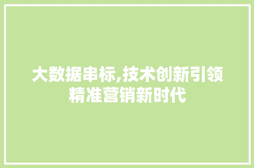 大数据串标,技术创新引领精准营销新时代