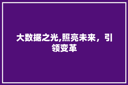 大数据之光,照亮未来，引领变革